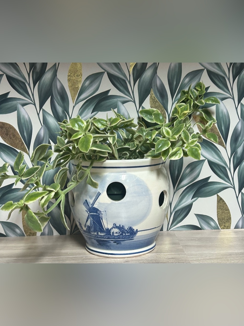 Vintage Delft Blue Crocus Bulb Planter and Orchid Pot - Picture 6 of 6